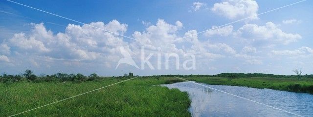 Nationaal park Schiermonnikoog