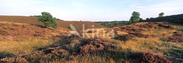 Nationaal Park Veluwezoom
