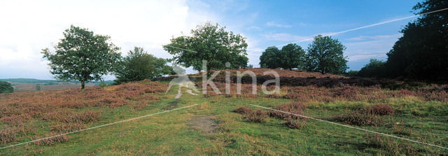 Nationaal Park Veluwezoom