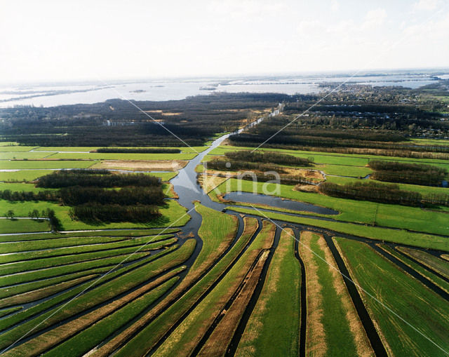 Loosdrechtse plassen