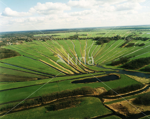 Loosdrechtse plassen