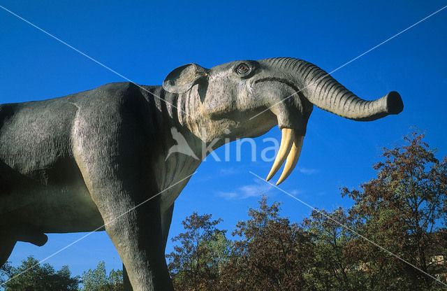 Deinotherium (extinct)