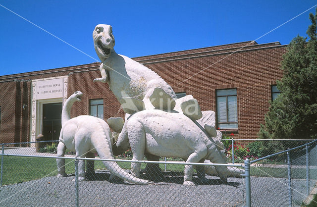 Dinosaur (Ceratosaurus nasicornis)