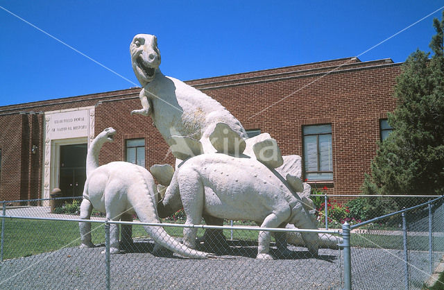 Dinosaur (Ceratosaurus nasicornis)