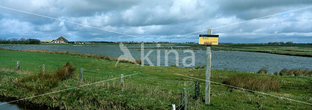 De Petten