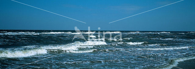 Waddensea