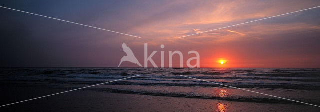 Waddensea