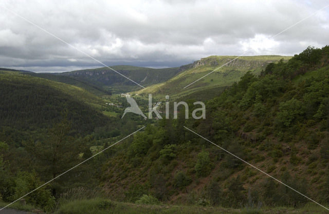 Parc national des Cévennes