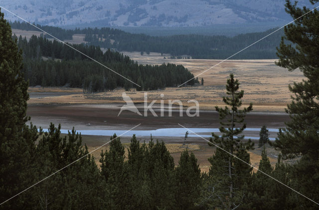 Grand Teton National Park