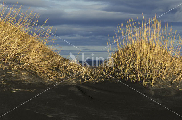 Northwest Iceland