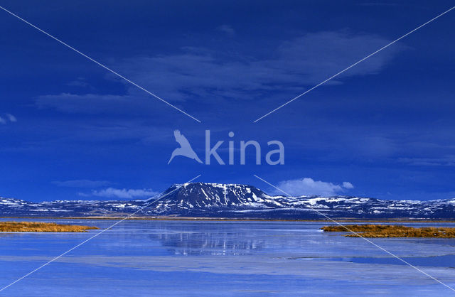 Northwest Iceland