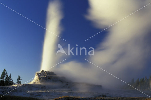 Yellowstone national park