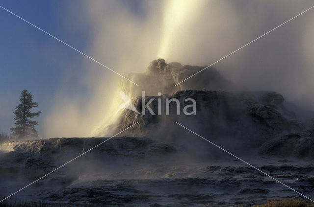 Yellowstone national park