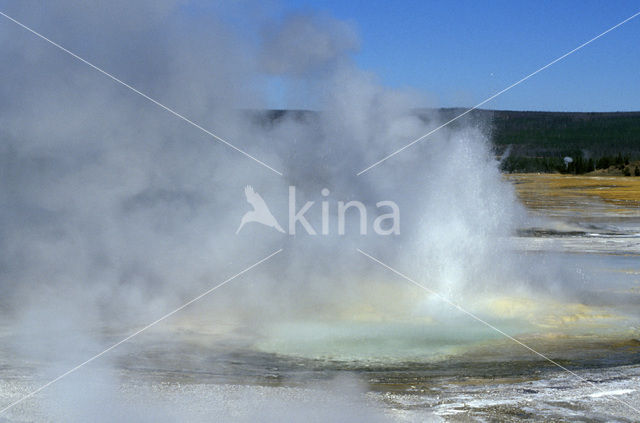 Yellowstone national park