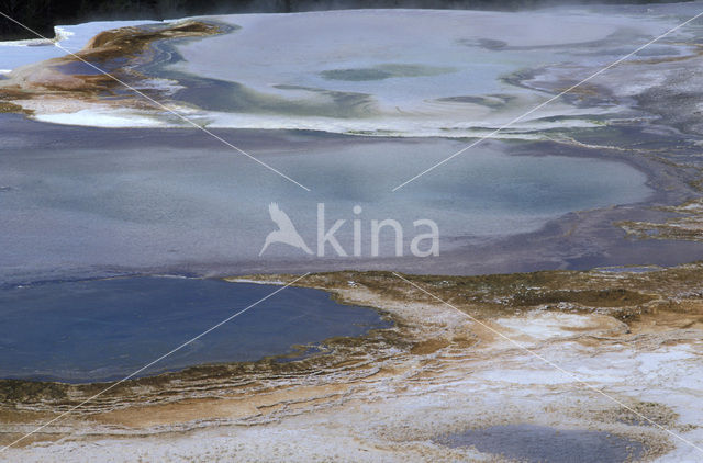 Yellowstone national park