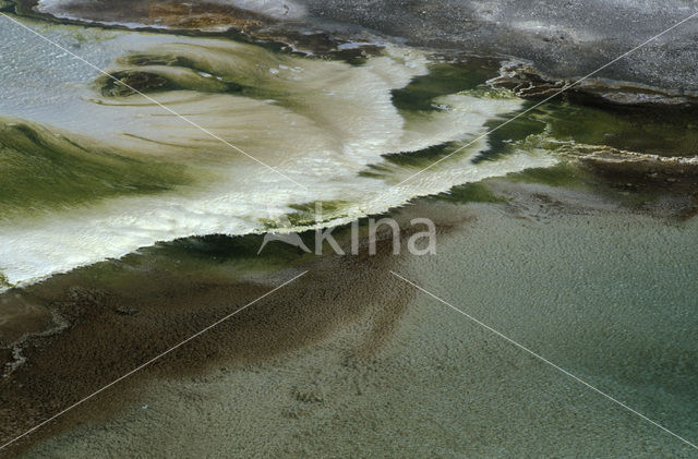 Yellowstone national park