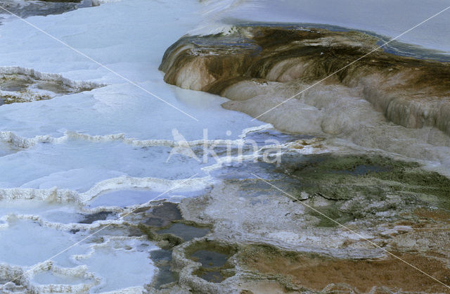 Yellowstone national park