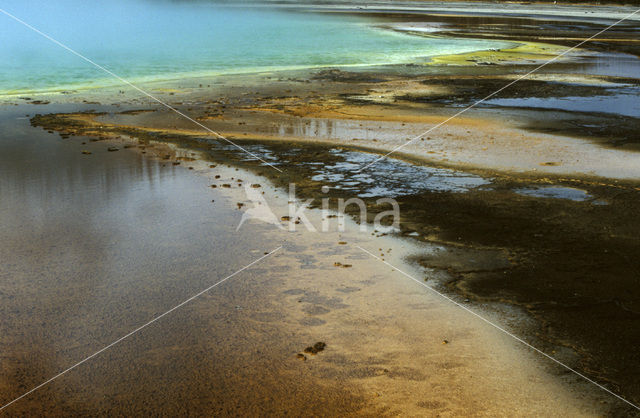 Yellowstone national park