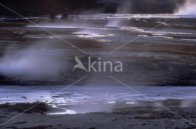 Yellowstone national park