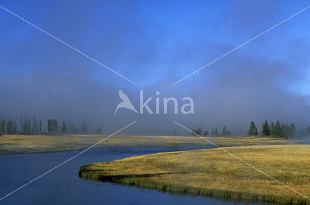 Yellowstone national park