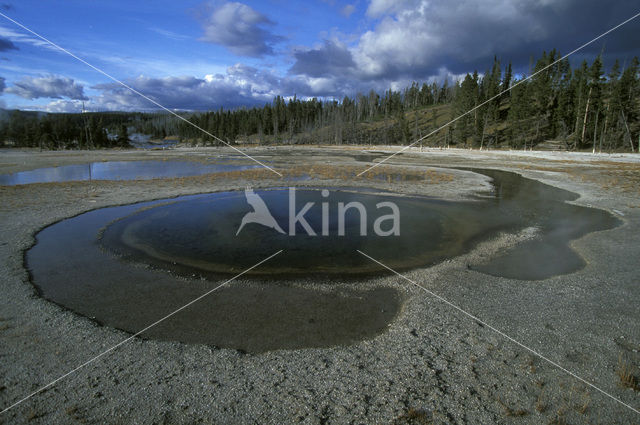 Yellowstone national park