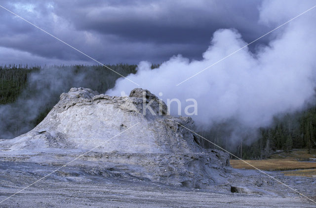 Yellowstone national park