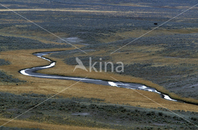 Yellowstone national park