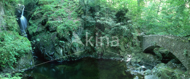 Aira Force