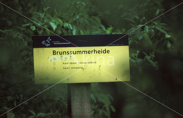 Brunssummerheide