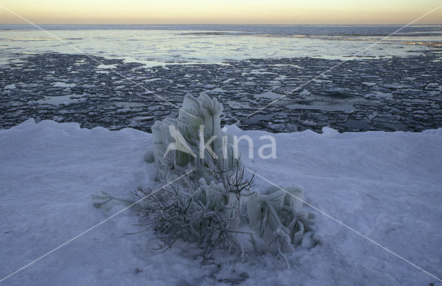 Markermeer