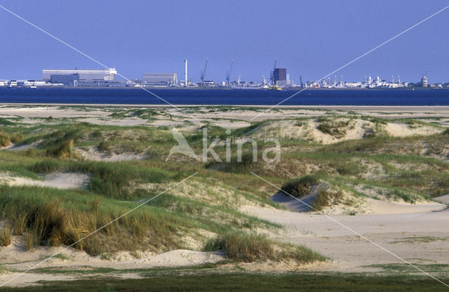 Nationaal Park Duinen van Texel