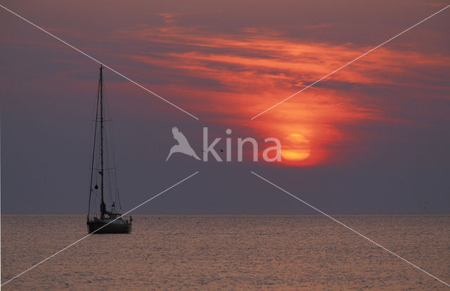 Waddensea