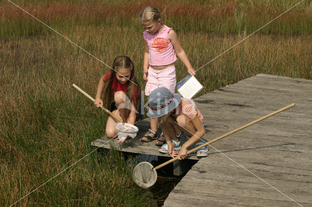 National Park Dwingelderveld