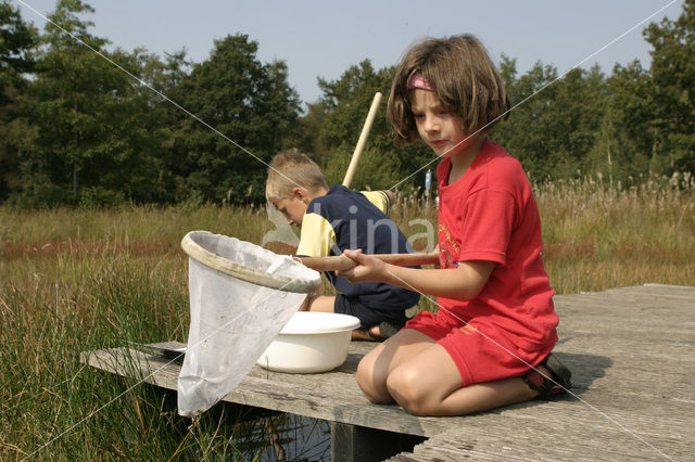 Nationaal Park Dwingelderveld