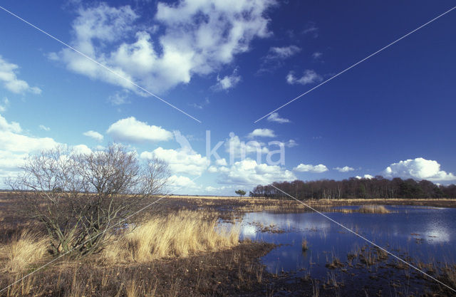 Nationaal Park Dwingelderveld