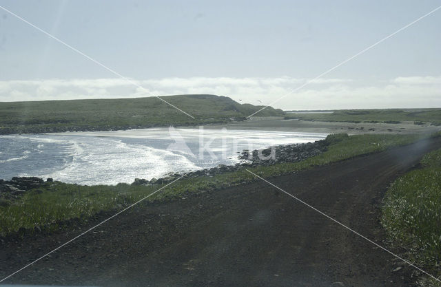 Bering Sea