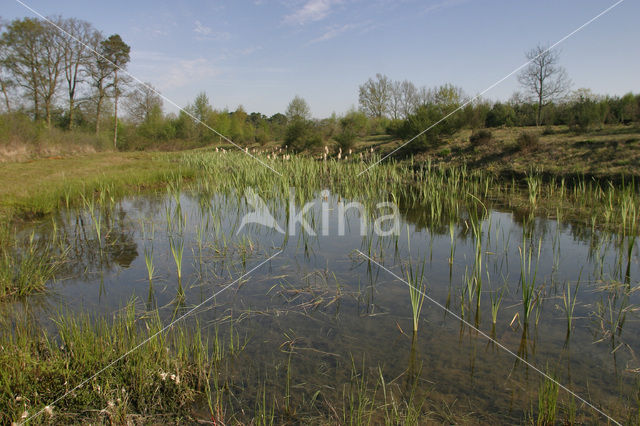 Borkense Baan