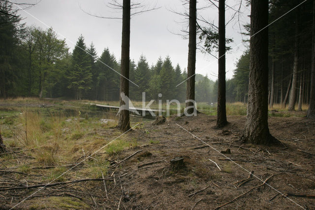 Landgoed de Slotplaats
