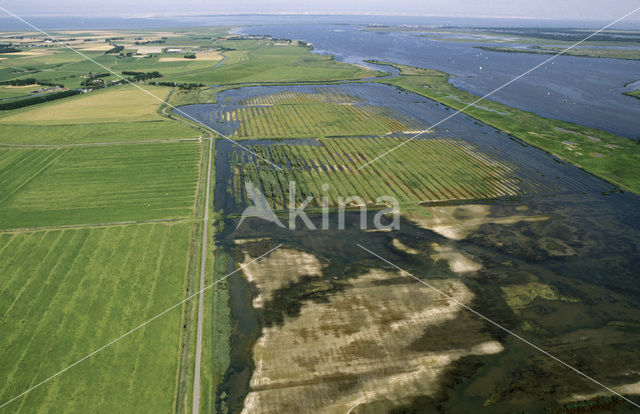 National Park Lauwersmeer