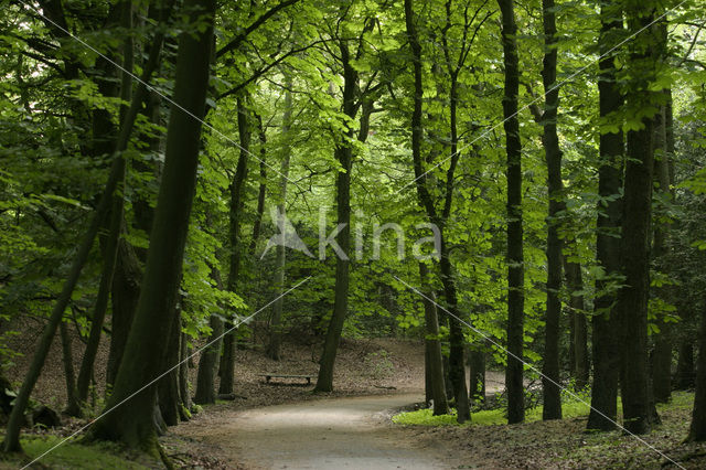 Nationaal Park Zuid-Kennemerland