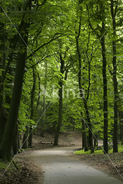 Nationaal Park Zuid-Kennemerland