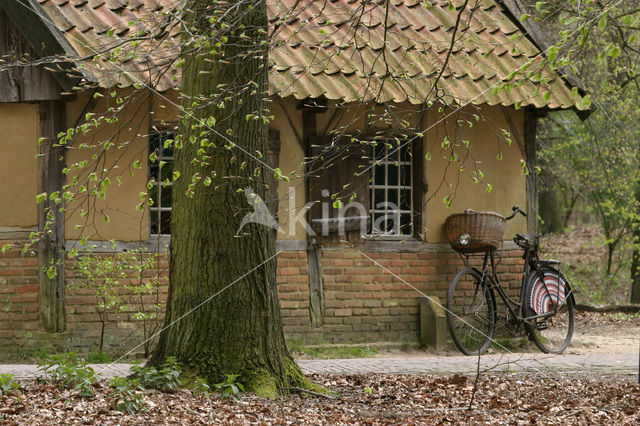 Nederlands Openluchtmuseum