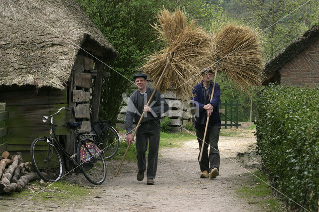 Nederlands Openluchtmuseum