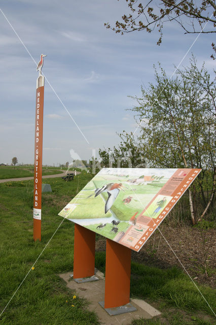 Oldeboorn