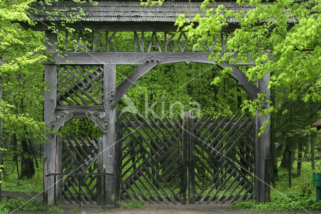 Bialowieza National Park