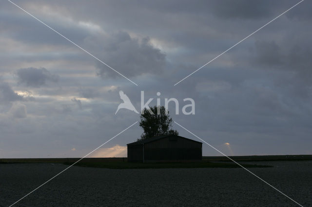 IJsselmeerdijk