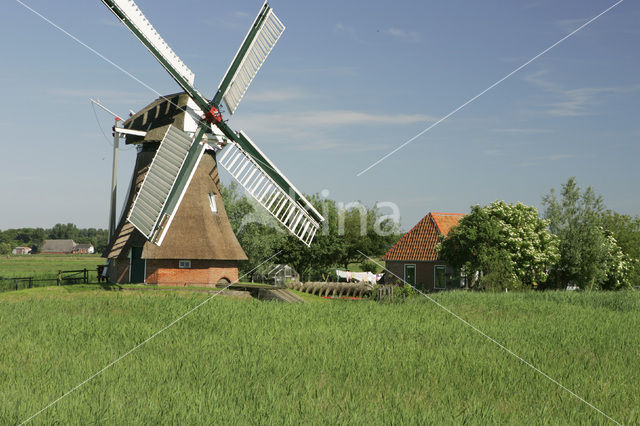 Krimstermolen