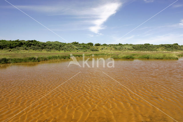 Kroon’s polders