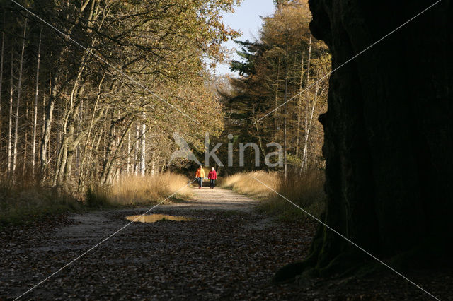 Landgoed de Slotplaats