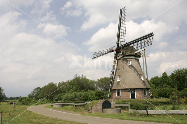 Molen de Zaandplatte